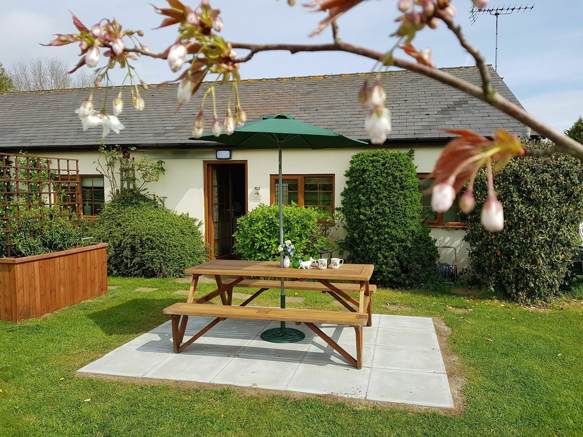 Hawthorn Farm Cottages Кентърбъри Екстериор снимка